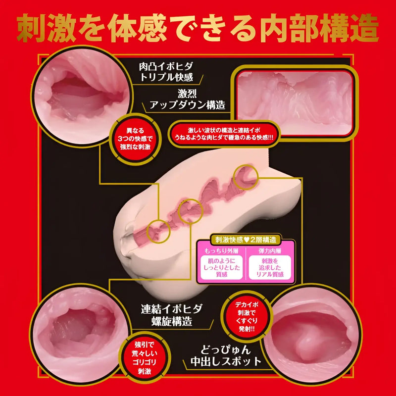 Anatomically detailed male masturbator, Japanese Real Hole Arina Hashimoto authentic experience