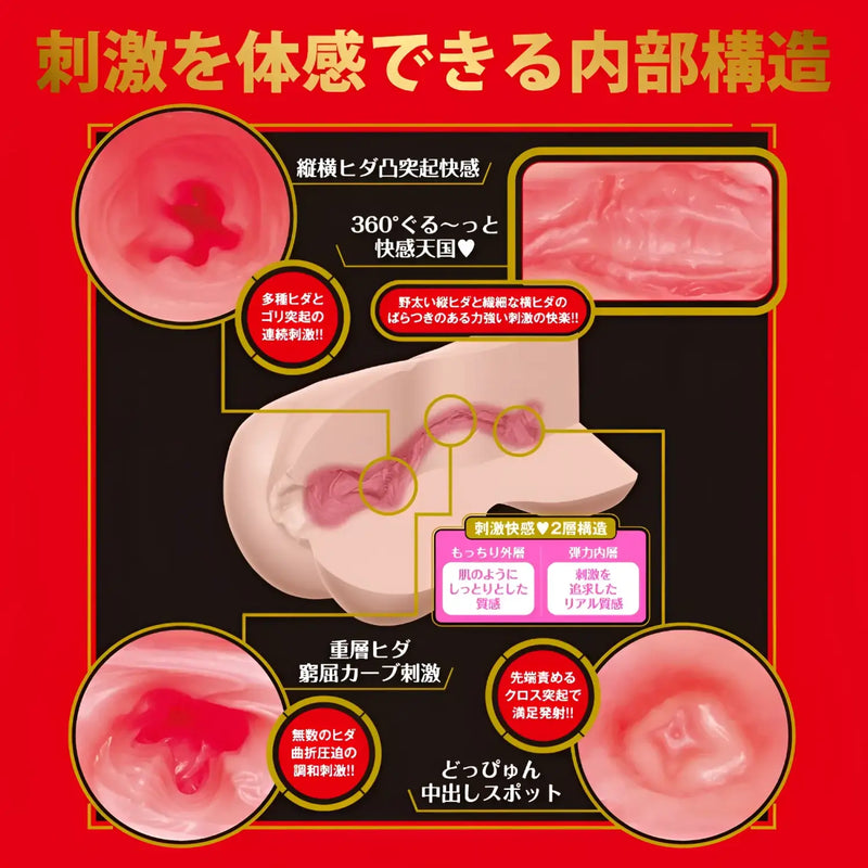 Internal structure diagram of the Mio Ishikawa Japanese Real Hole Pure Softness Onahole