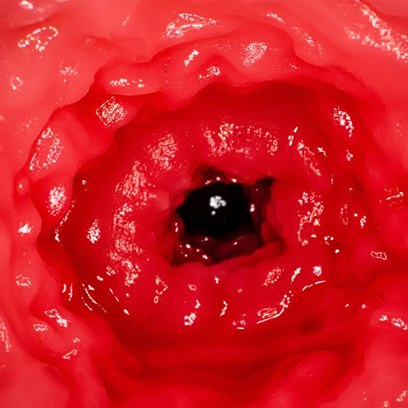 Red fleshy tunnel of the AV Mini Masterpiece Rima Arai Vagina Meiki