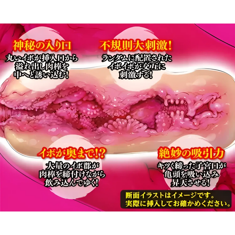 Textured interior of Supreme Ceiling Hentai Manga Ultimate Textured Suction Onahole