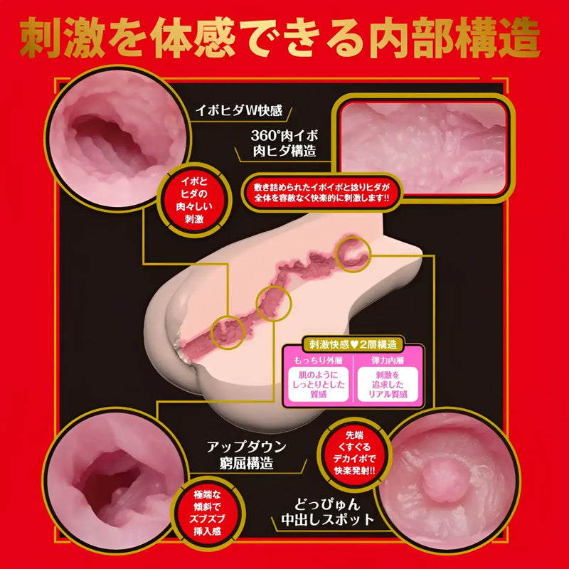 Interior structure diagram of the Japanese Real Hole Miru Ultimate Thrusting Onahole