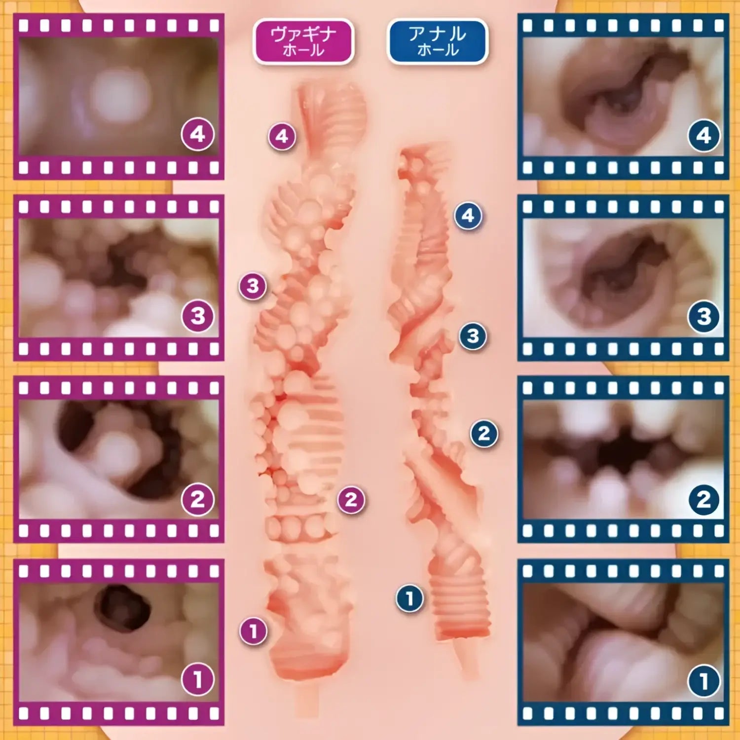 Anime Sex Doll Life Size Dual Hole Half Torso Cross Sectional Diagrams Vaginal 117