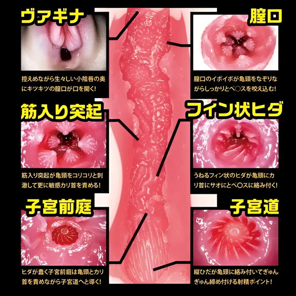 Detailed view of interior design for Nippori Meiki Aoi Tsukasa Ultimate Pleasure