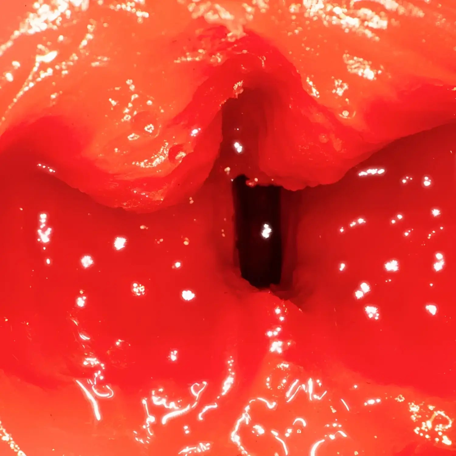 Blowjob Mia Nanasawa Masturbator 408