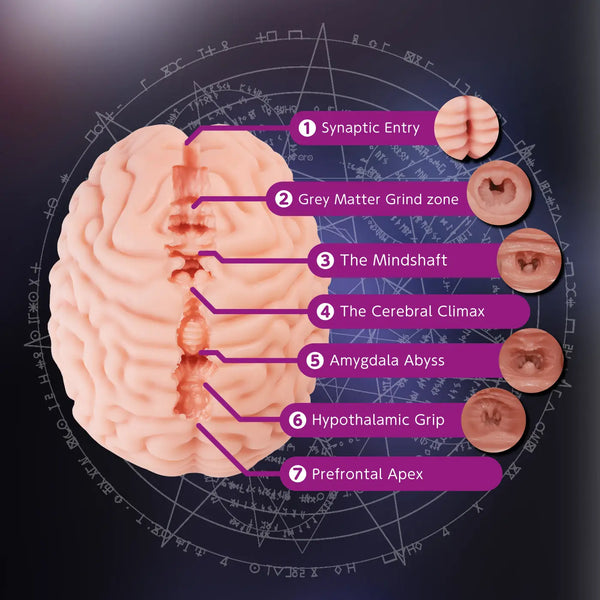 3D pink brain model with purple labels for XTC Brain Hacker DX onahole