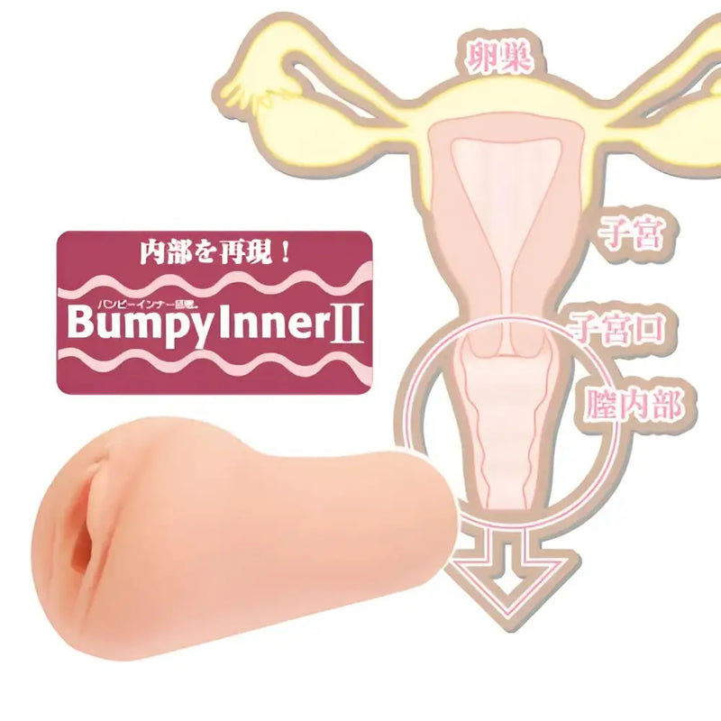 ToysHeart 17Bordeaux dual-layer onahole with textured opening and cervix zone diagram