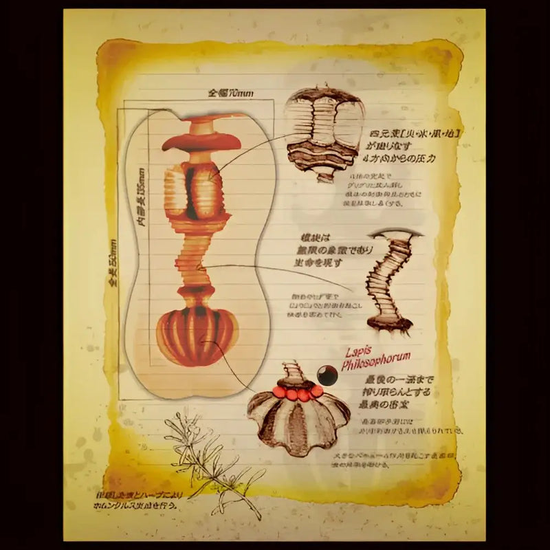 Diagram of a fictional biological specimen with annotations for TOYSHEART Atelier Alchemist featuring diatom stick and fine cross tpe onatsuyu stick lotion