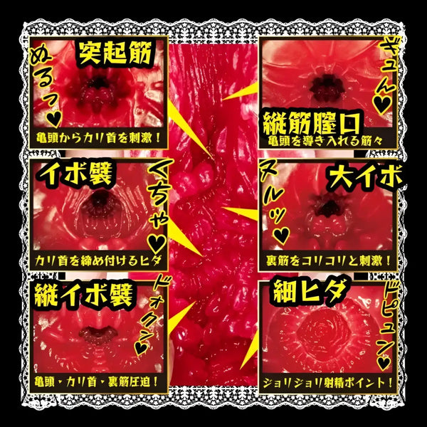 Textured interior of Master’s Exclusive Maid Eimi Fukada Continuous Pleasure Molded Vagina Toy