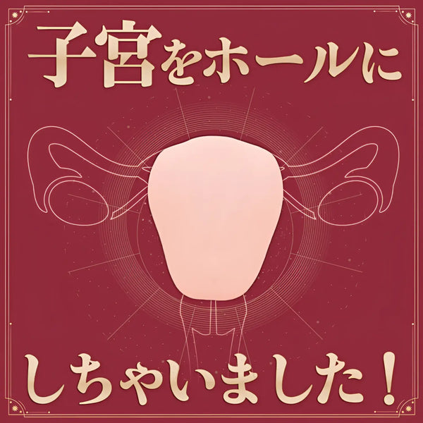Ikuno’s Uterus diagram showing Japanese text on realistic uterus onahole sex toy