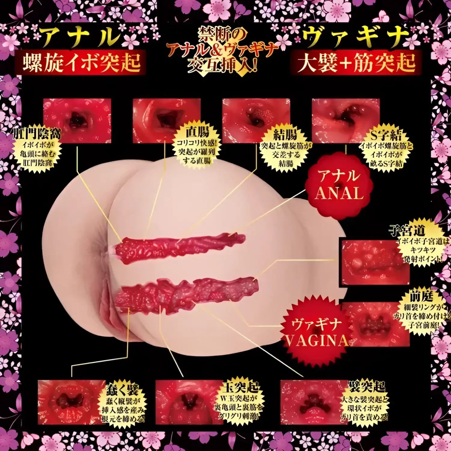 Koshi Akari Mitani Ultra Realistic Dual Hole Onahip Anatomical Sex Toy 664