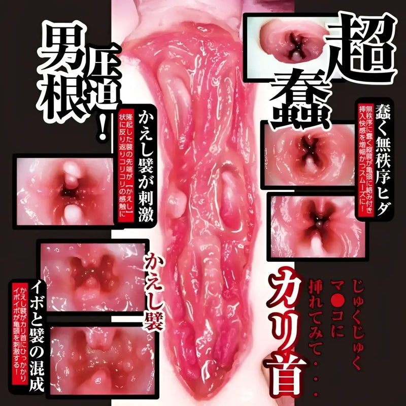 Graphic of male genitalia for Mako-chan Onahole from maid café manager series
