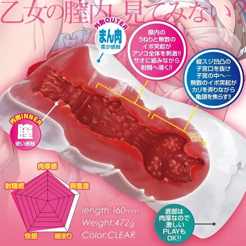 Clear masturbatory aid showcasing internal textures of Maiden’s Transparent Vagina Onahole