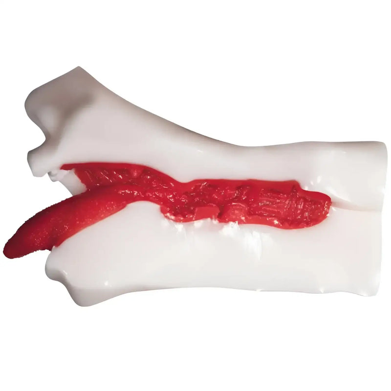 Anatomical mouth model for Gekiren Zeccho Mao Hamasaki deepthroat masturbator