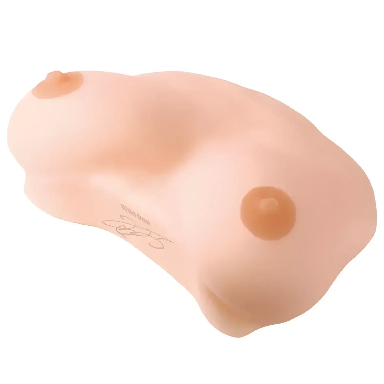 Mio Kimijima Divine Boobs Top Class Silicone Breast Form Onatit 403