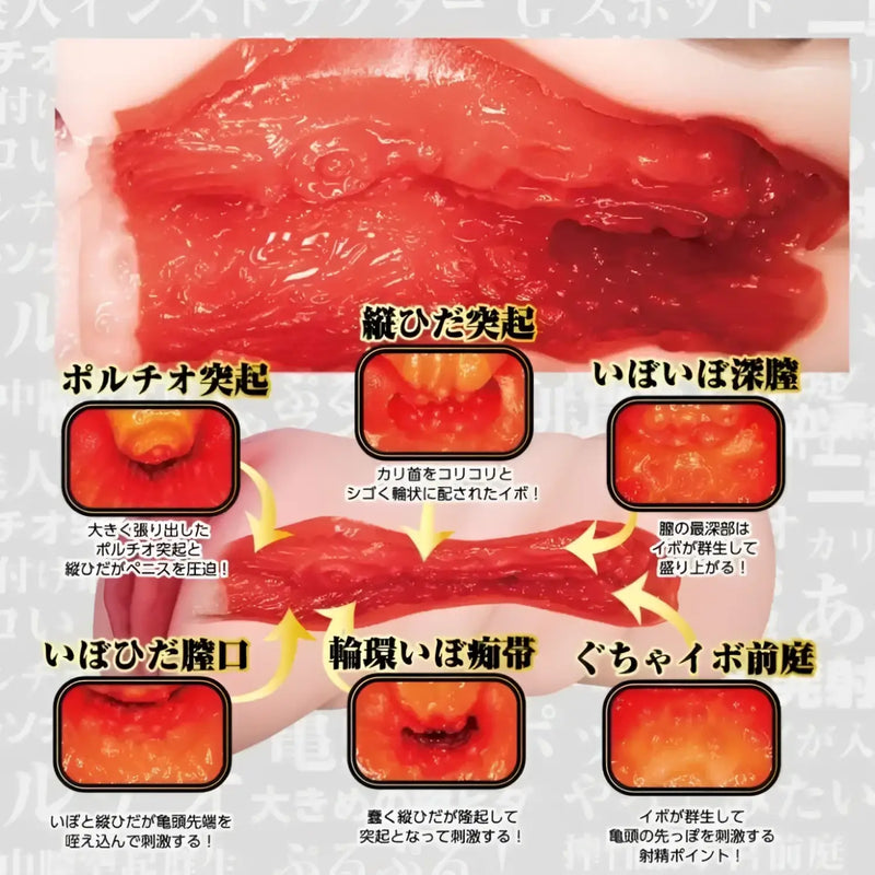 Red textured sex toy from the Personal Sex Trainer Mitani Akari realistic molded pussy