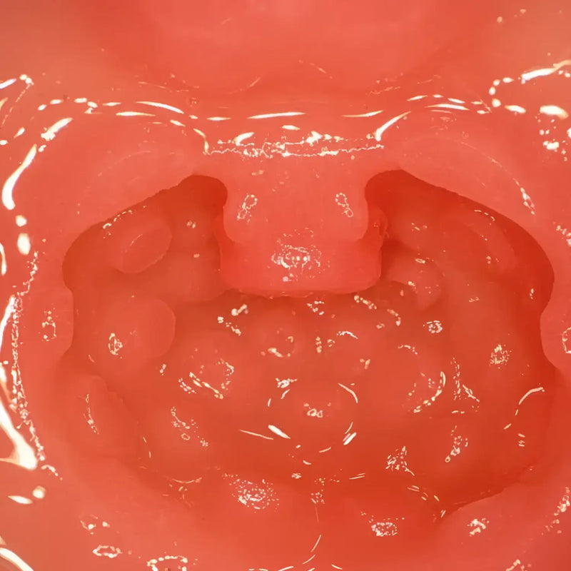 Pink, fleshy throat interior of the AV Mini Masterpiece Nao Jinguji Vagina Meiki
