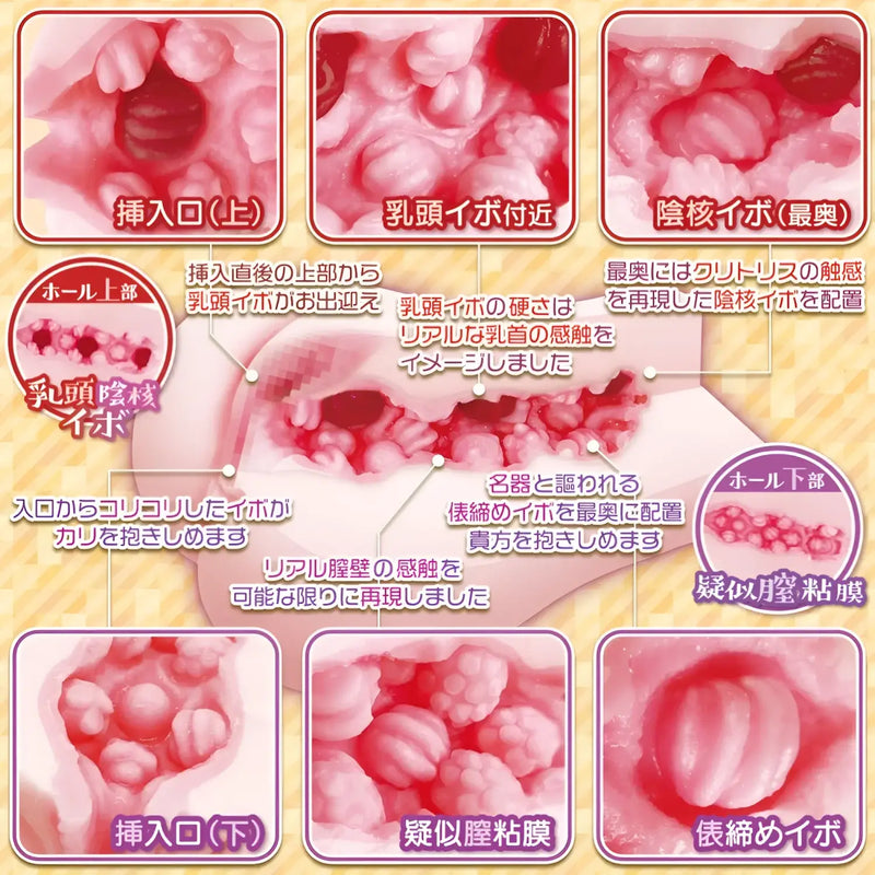 Detailed Nytai Paradise sex toy interior with dual-stimulation breast and vaginal design