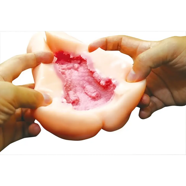 Realistic silicone wound model in TAMATOYS Captive Princess Knight onahole with soft bumps