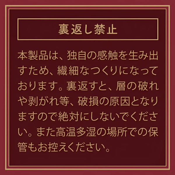 Japanese warning label on The Meister Classic Titudansou Triple-Layer Vaginal Masturbator sex toy