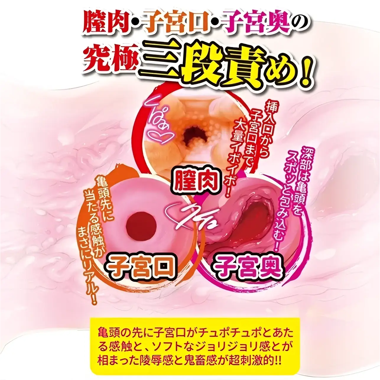 Product Features Uterus Penetration Coming 585