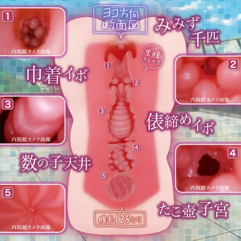 Anatomical diagram of Puberty Innocent First Love Quintuple Stimulation Anime Onahole demonstrating anime onahole design
