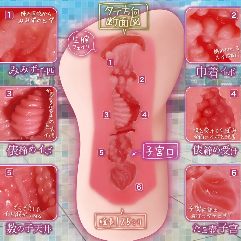 Cross-sectional Puberty Innocent Anime Onahole with labeled internal features for stimulation