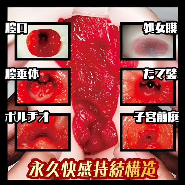 Anatomical model of a vagina for the AI Actress After-School Pure Virgin Experience Onahole