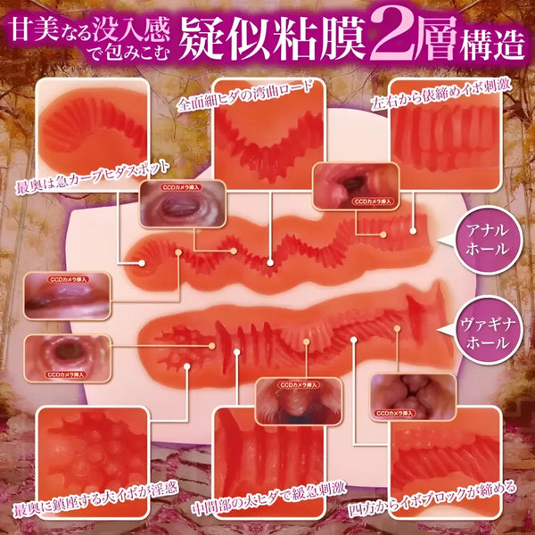 Detailed internal structure of the Forest of Temptation Labyrinth Anime Onahip