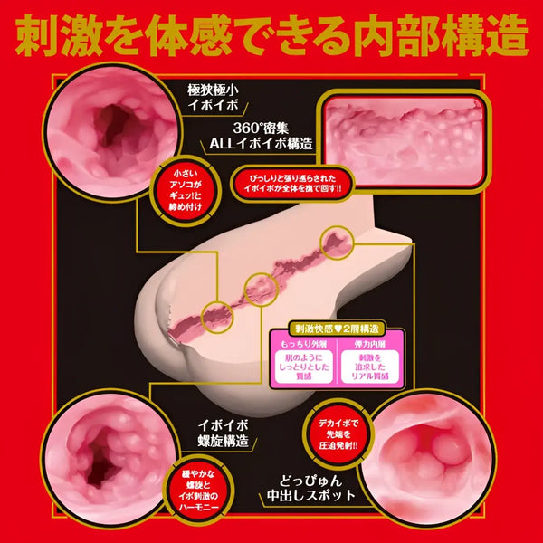 Diagram of Japanese Real Hole GEKI Ayaka Kawakita Vagina Meiki interior structure