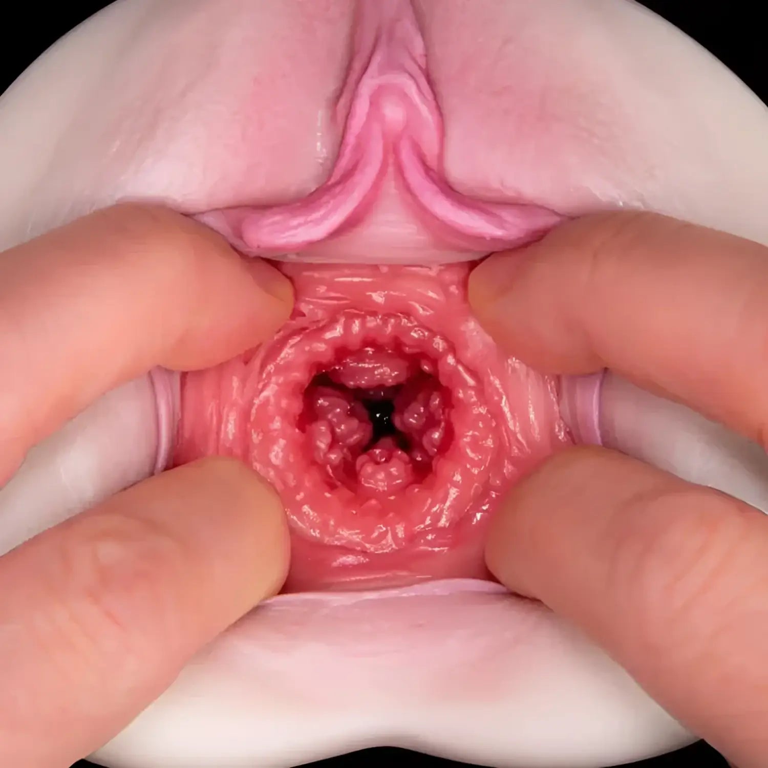 Vagina Meiki Superb Pleasure Lewd Hano Tsubasa Anatomical Model Vulva Jav 479