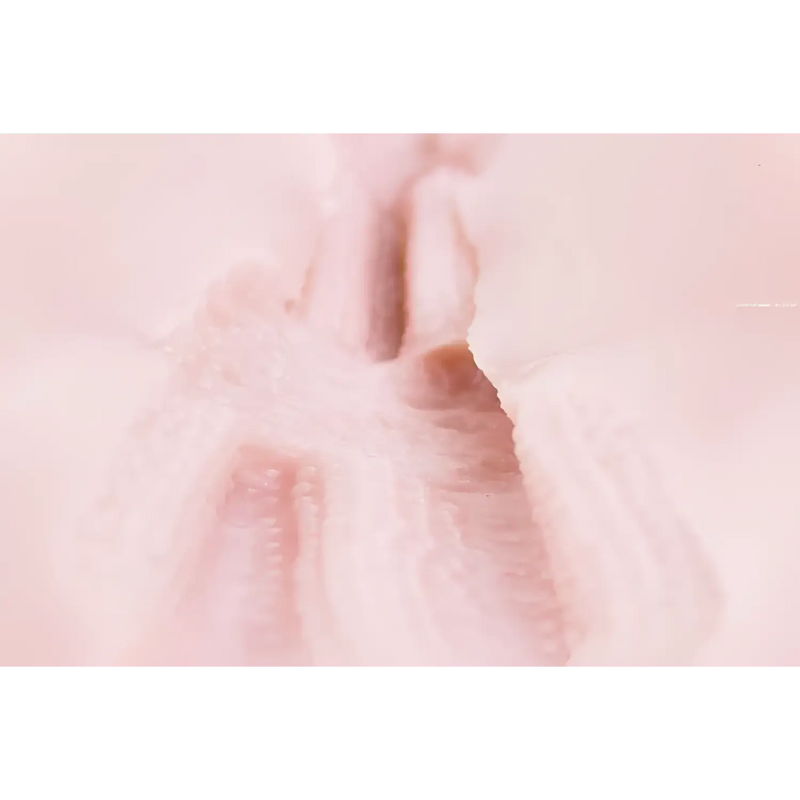 TOMAX Venus Cross pink lace onahole with floral sheer fabric