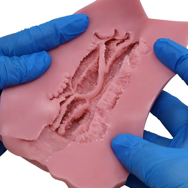 Tomax Virgo Veritas pink stomach model held by blue gloves