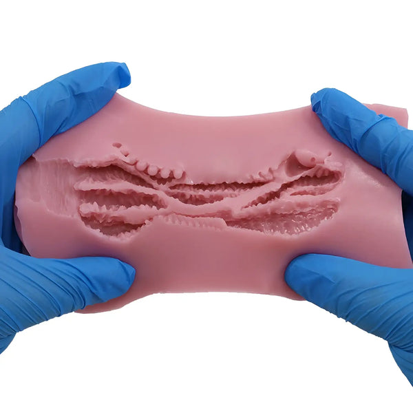 Pink TOMAX Virgo Veritas silicone dental model with blue gloves