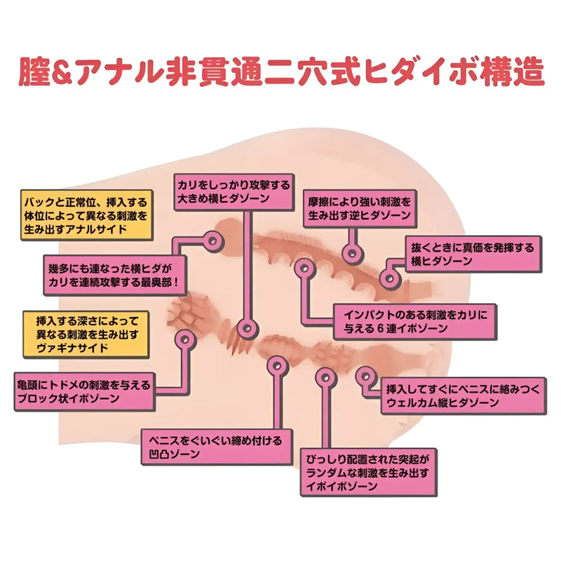 Anatomical diagram of Real Body + 3D Bone System D Cup Yura Anekawa sex toy