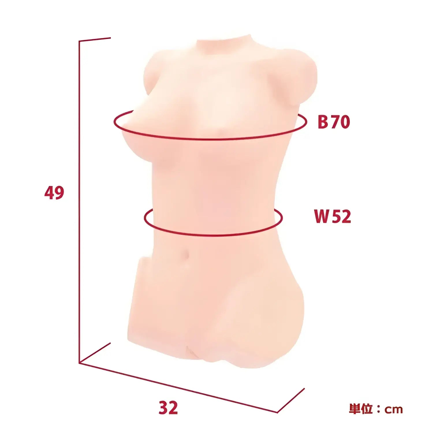 Yura Anekawa Manga Artist Sumisuzu Sensei Cup Female Torso Mannequin Anime Doll 862
